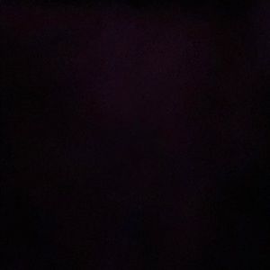 Meet your Posher, Steve